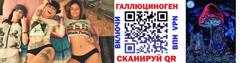 Купить закладки  Кызыл  Псилоцибиновые грибы GOLDEN TEACHER 